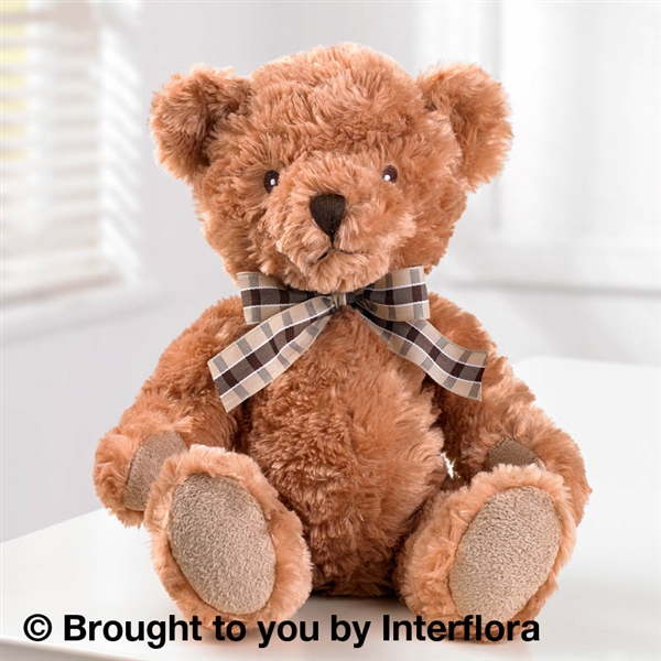 Teddy Bear Gifts